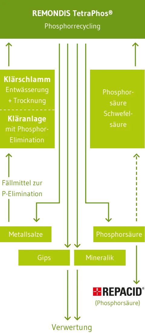 Grafik Phosphorrecycling
