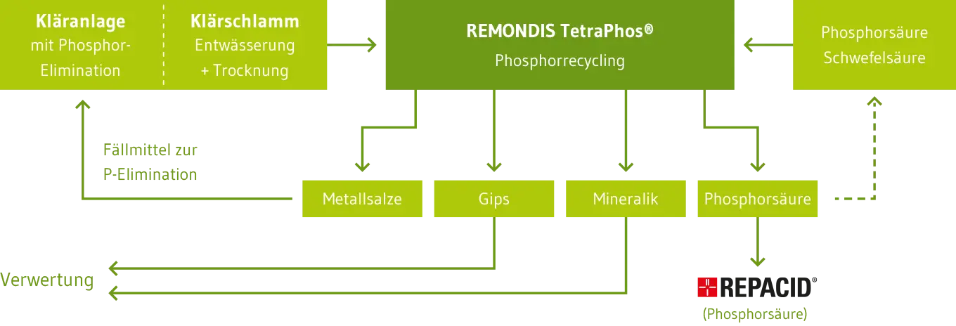 Grafik Phosphorrecycling